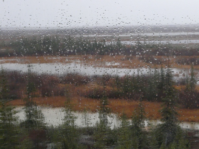 20111013-192144.jpg