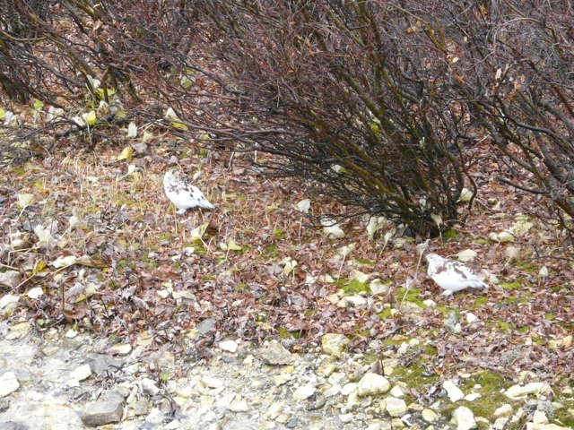 20111014-185335.jpg