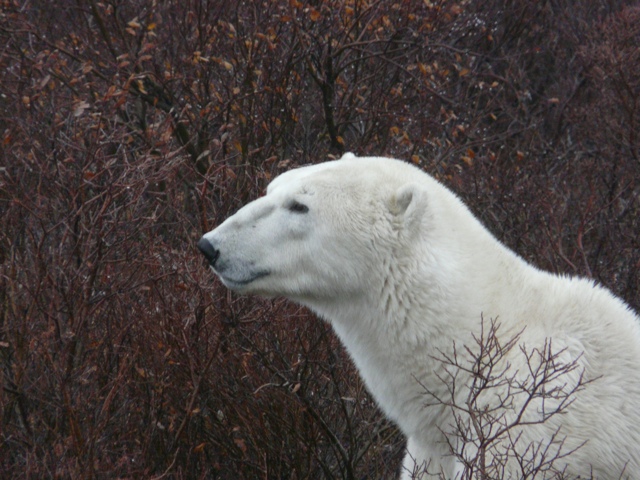 20111014-185436.jpg