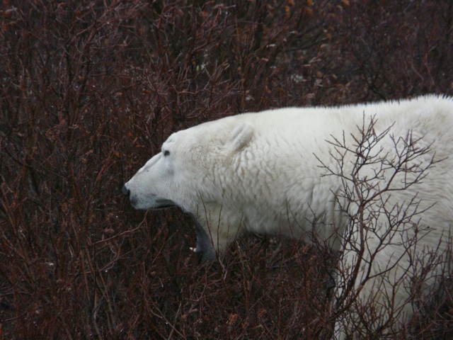 20111014-185452.jpg