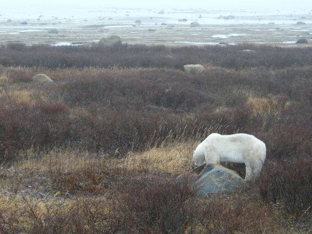 20111014-185522.jpg