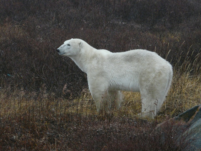 20111014-185557.jpg
