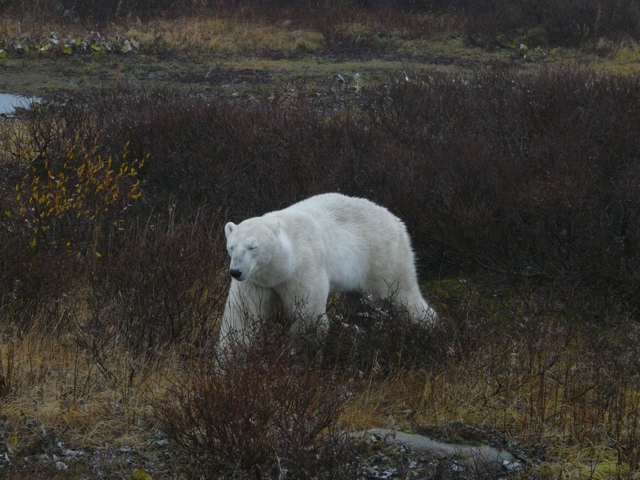 20111014-185620.jpg