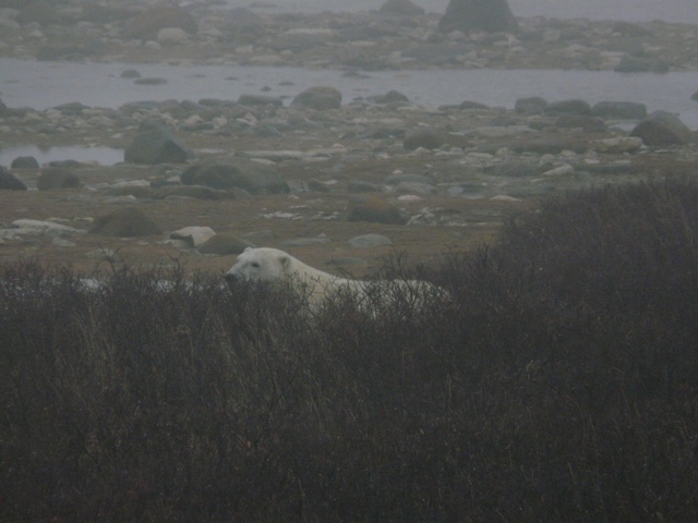 20111014-185656.jpg