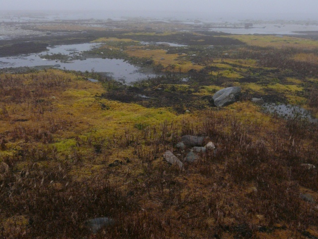20111014-185715.jpg