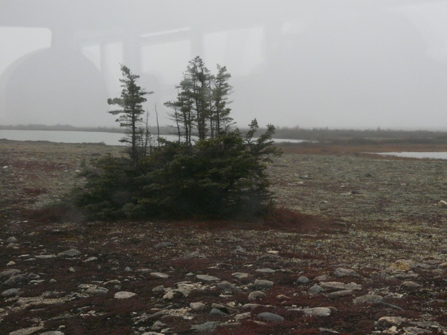 20111014-185754.jpg