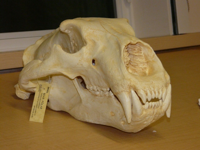 20111015-204419.jpg