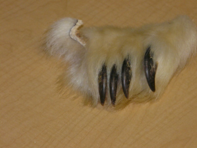 20111015-204446.jpg