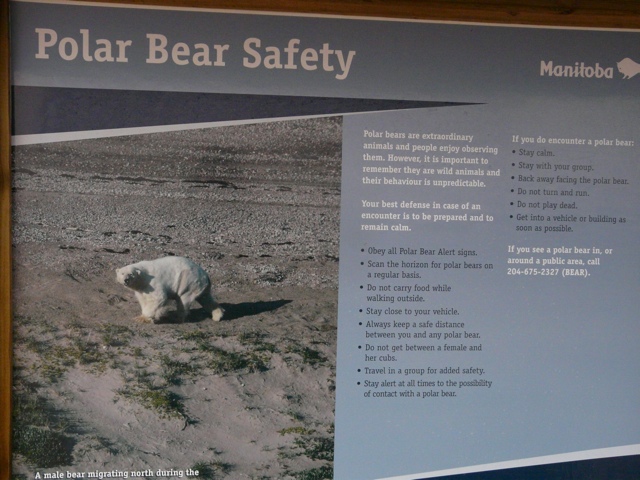 20111015-204526.jpg