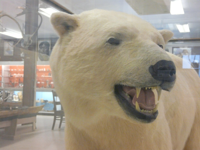 20111015-204555.jpg