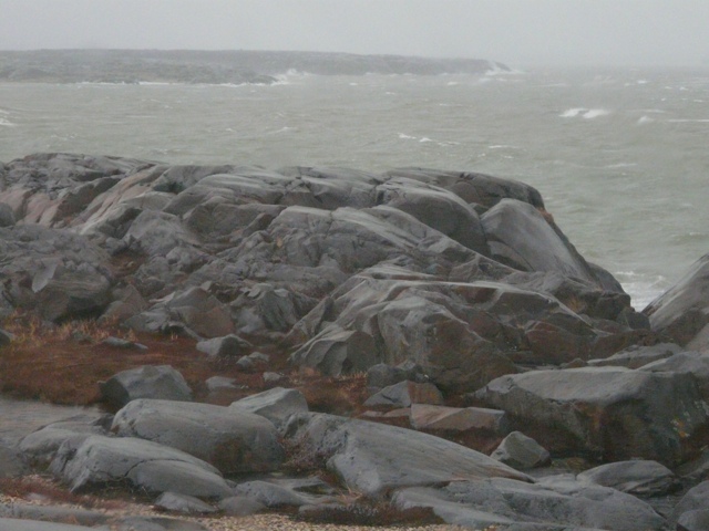 20111016-214328.jpg
