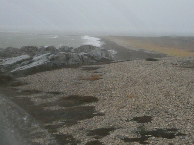 20111016-232933.jpg
