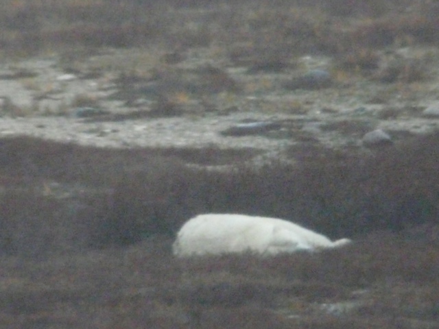 20111016-233010.jpg