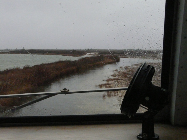 20111016-233042.jpg