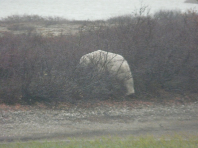 20111016-233135.jpg