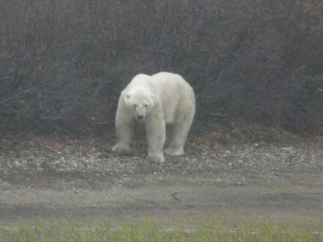 20111016-233209.jpg