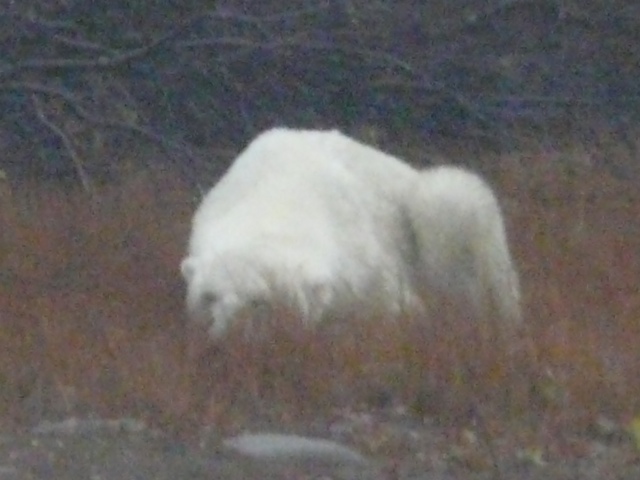 20111016-233247.jpg
