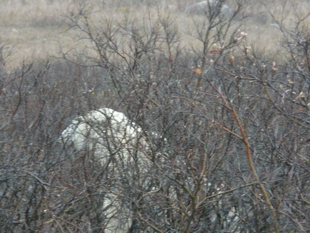 20111016-233323.jpg