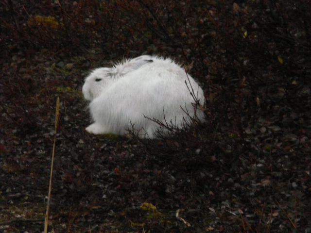 20111016-233349.jpg