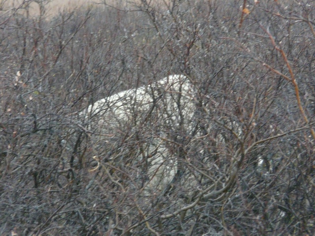 20111016-233434.jpg