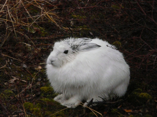 20111016-233458.jpg