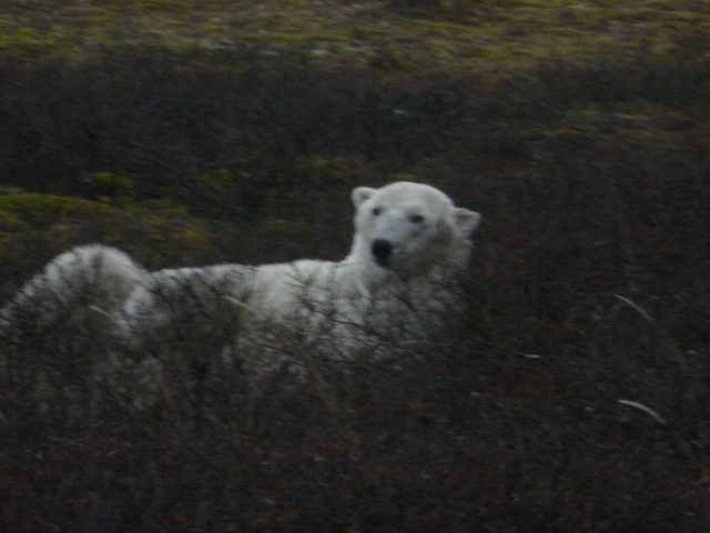 20111016-233513.jpg