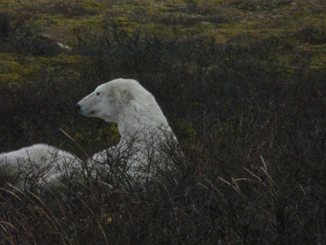 20111016-233530.jpg