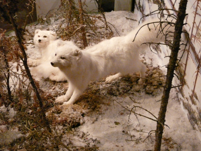 20111017-173928.jpg