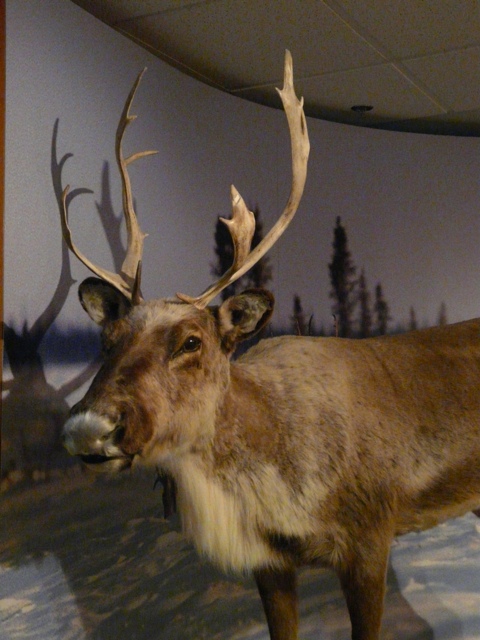 20111017-174010.jpg