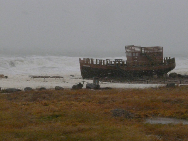 20111017-174040.jpg