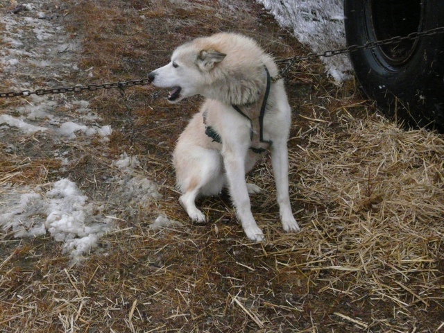 20111017-174059.jpg