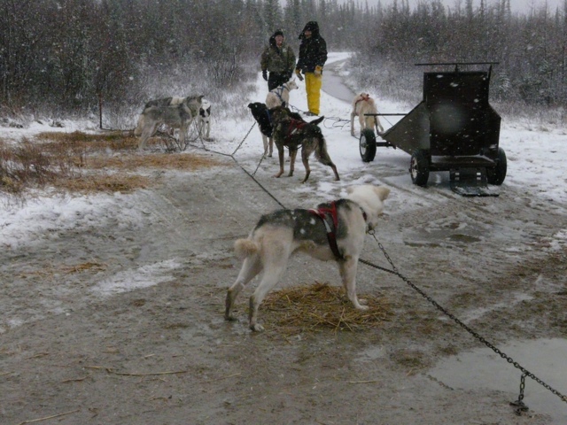 20111017-184633.jpg