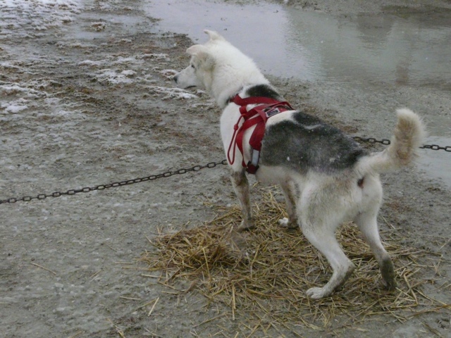 20111017-184653.jpg