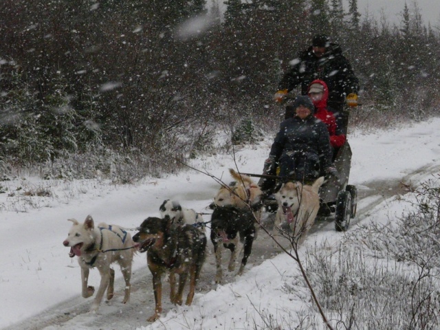 20111017-184705.jpg