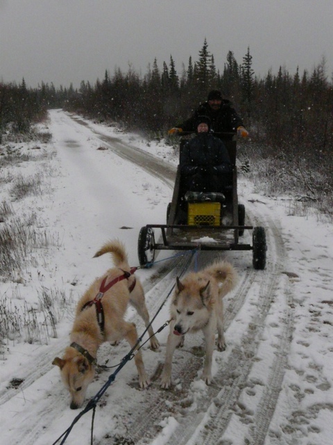 20111017-184717.jpg