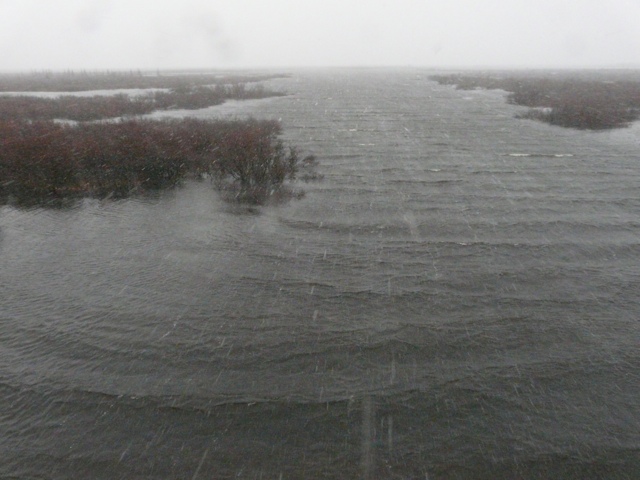 20111017-184758.jpg