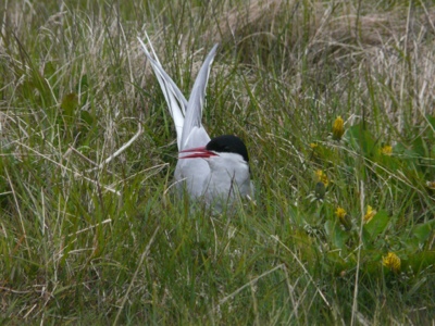 20120614-150849.jpg