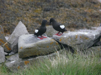 20120614-150915.jpg
