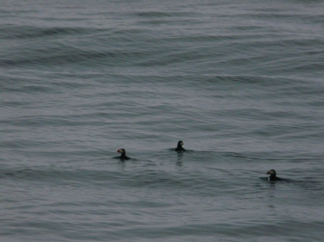 20120616-210522.jpg
