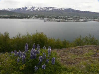 20120616-210612.jpg