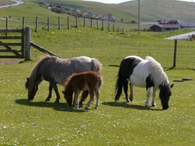 20120618-161922.jpg