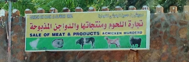 20131212-120829.jpg