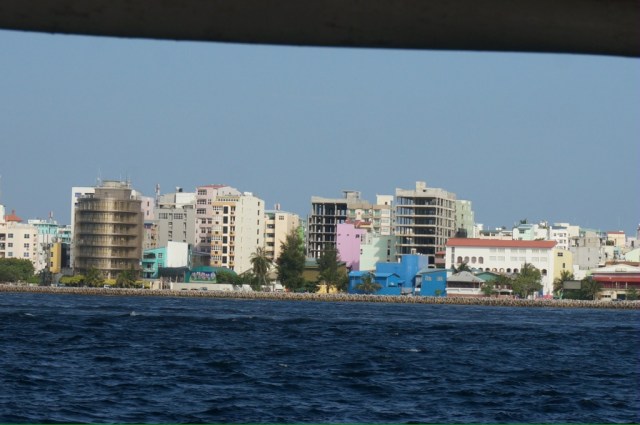 20131220-152439.jpg
