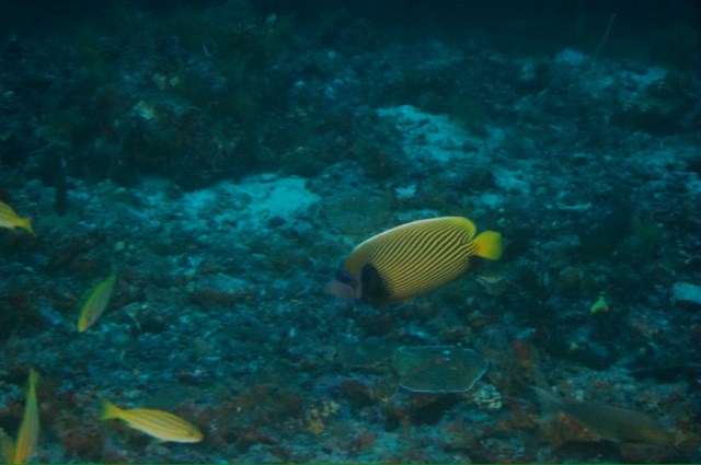 20131220-152635.jpg