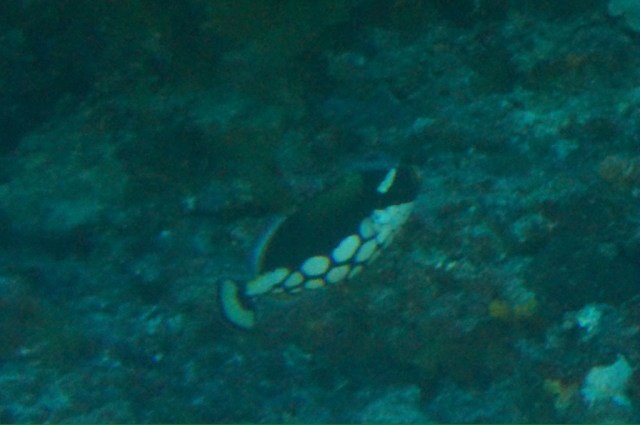 20131220-152705.jpg