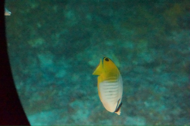 20131220-152835.jpg